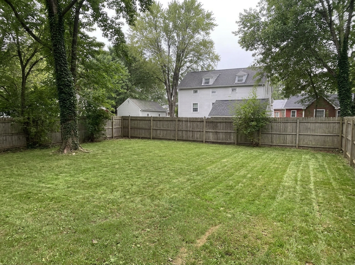 The same backyard cleared with clean mowed grass