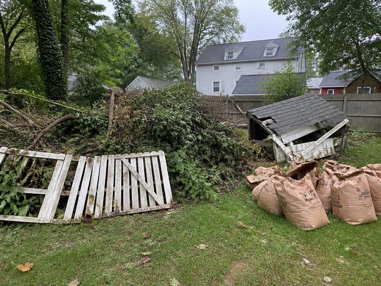 Backyard with brush pile, broken fence and collapsed shed before removal
